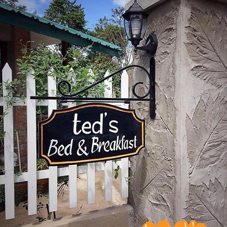 Ted'S Bed And Breakfast Santa Cruz  Zewnętrze zdjęcie
